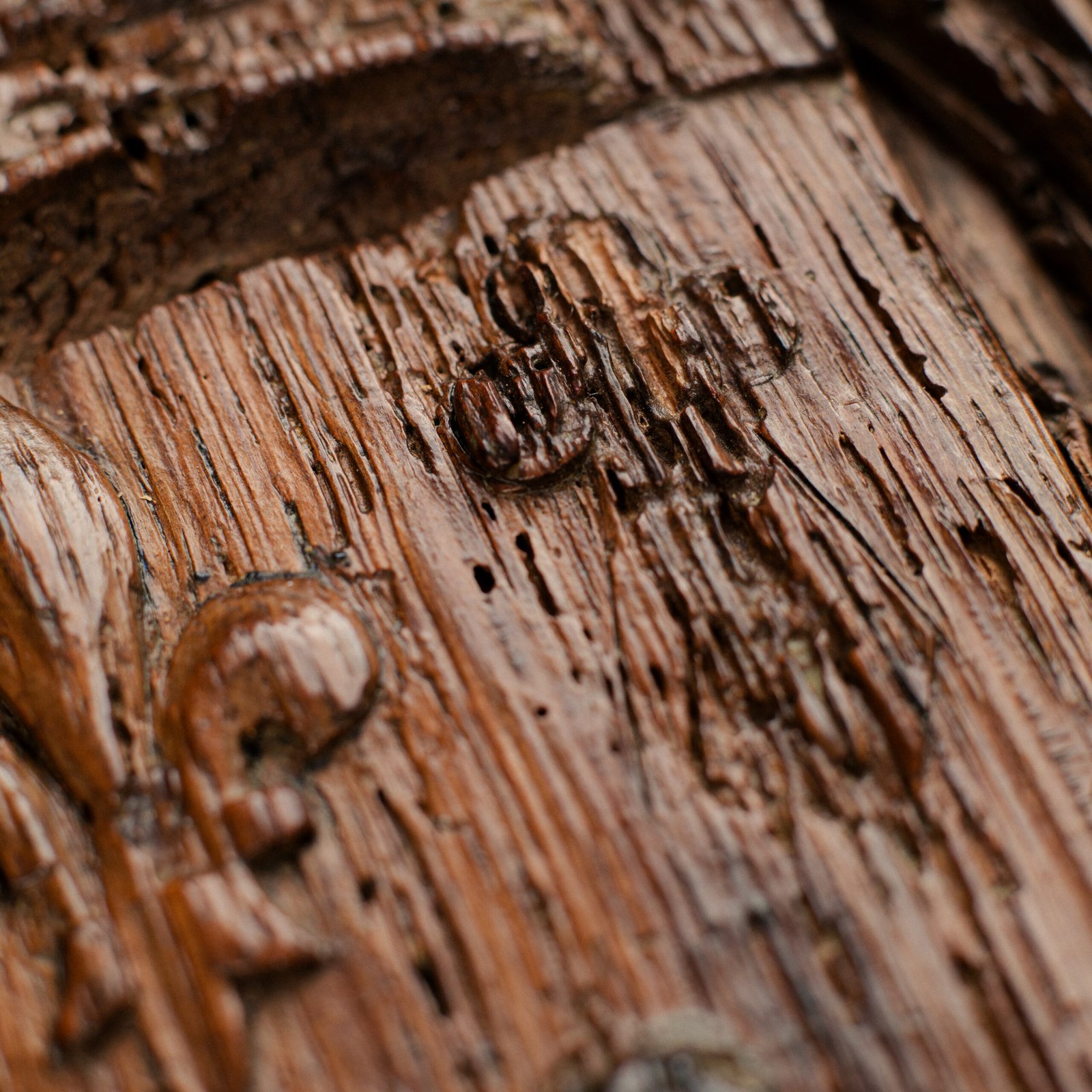 Historic Gothic oak relief with crowned fleur-de-lis arms of Anne de Bretagne, Flamboyant carving c.1495–1510, original patina.