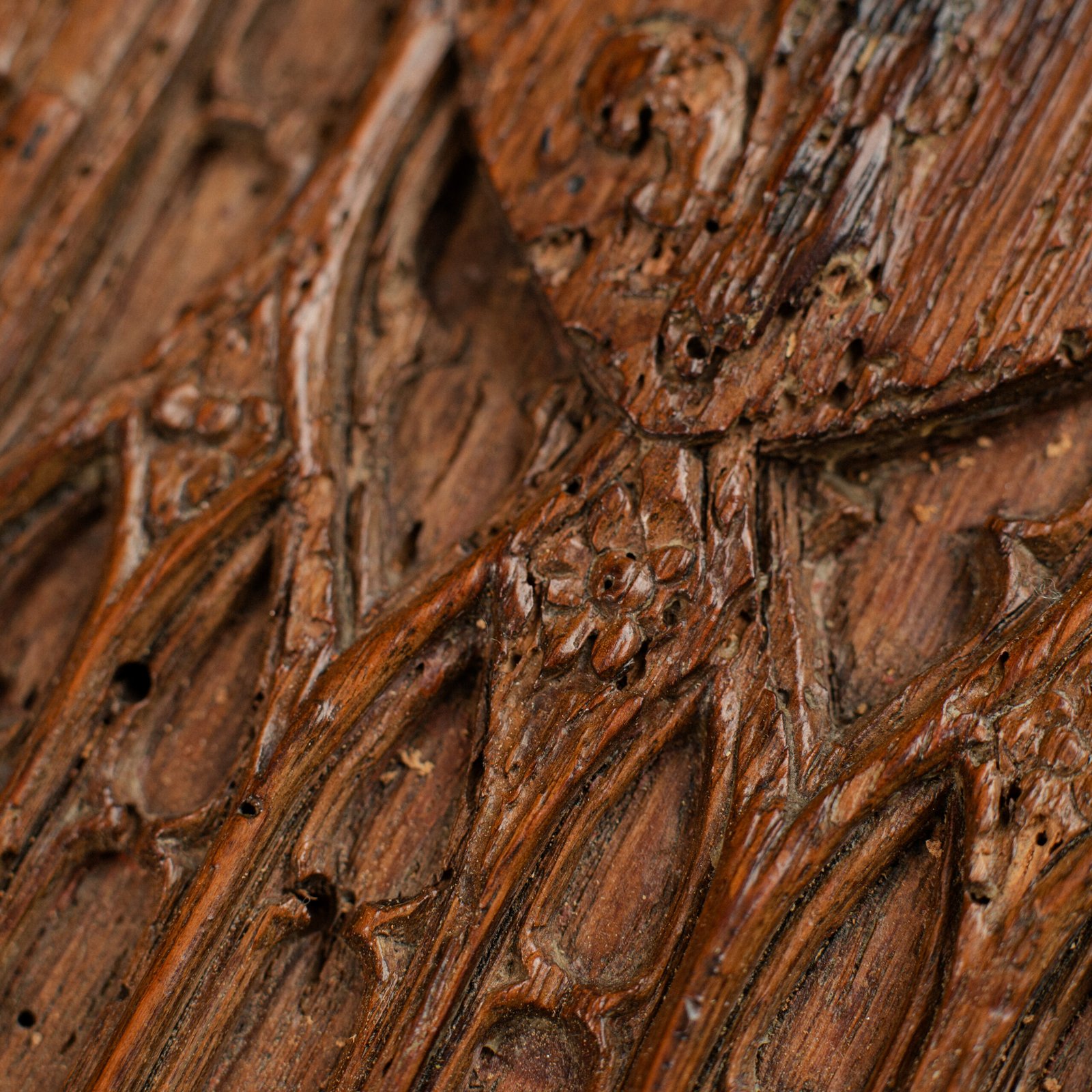 Historic Gothic oak relief with crowned fleur-de-lis arms of Anne de Bretagne, Flamboyant carving c.1495–1510, original patina.